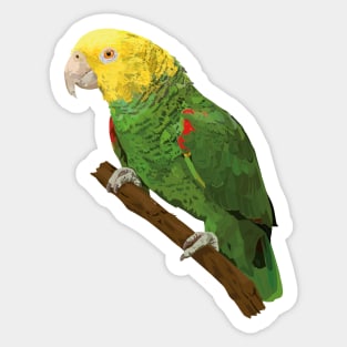 Yellow-headed Amazon Sticker